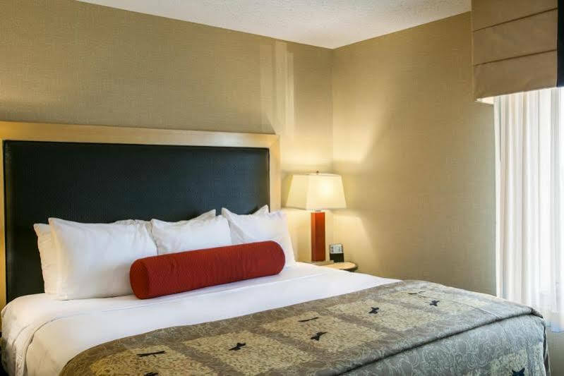 Springhill Suites By Marriott Indianapolis Airport/פליינפילד מראה חיצוני תמונה